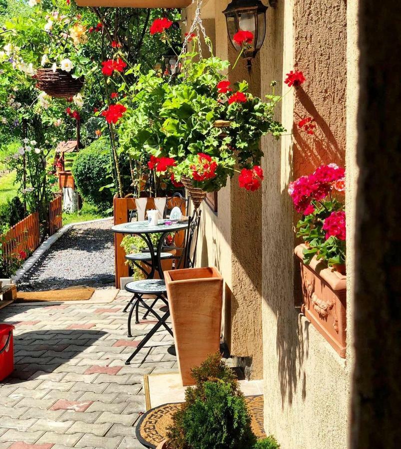 Hotel Casa Rosca Sighişoara Exterior foto